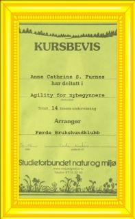 DEN 7.JUNI 2009 DELTOK LOTTE OG JEG PÅ AGILITY-KURS FOR NYBEGYNNERE. DET VAR ET LÆRERIKT KURS HVOR VI HADDE DET SVÆRT MORO. KAN ANBEFALES TIL ALLE GRIFFON-EIERE SOM LIKER AKTIVITET. OG HUNDENE ELSKER DET! :-)