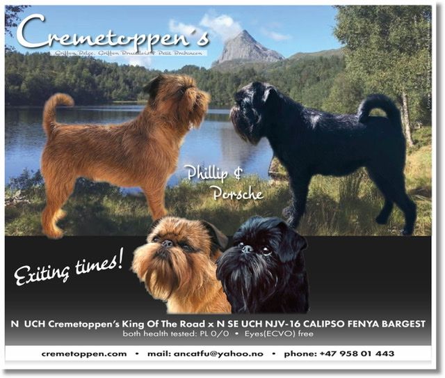 Thanks to Kristin B. Mortensen for making ad !